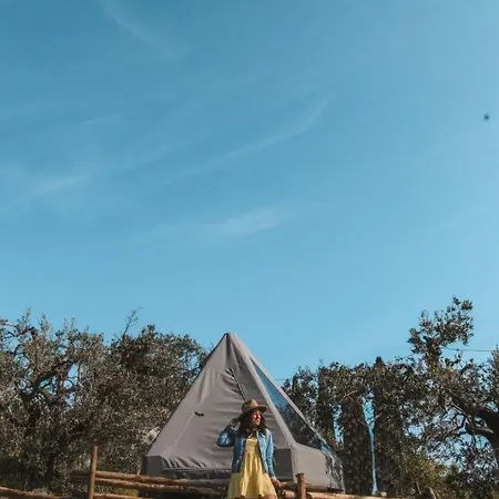 Glamping La Lodola * Crocina