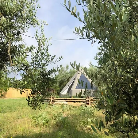 Luxury tent Glamping La Lodola *