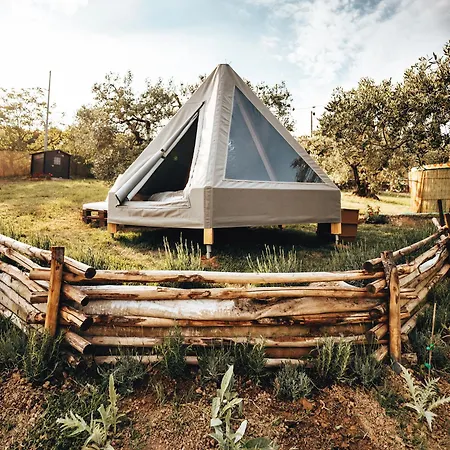 Glamping La Lodola Luxury tent *