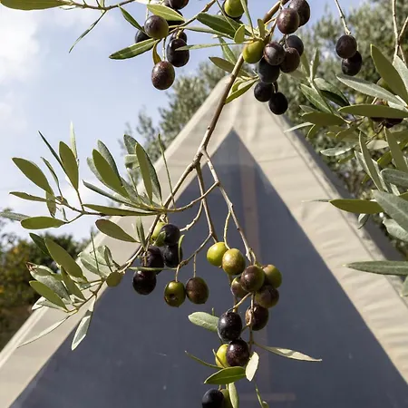 Glamping La Lodola Luxury tent Crocina
